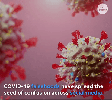 COVID-19 falsehoods have spread the seed of confusion across social media.