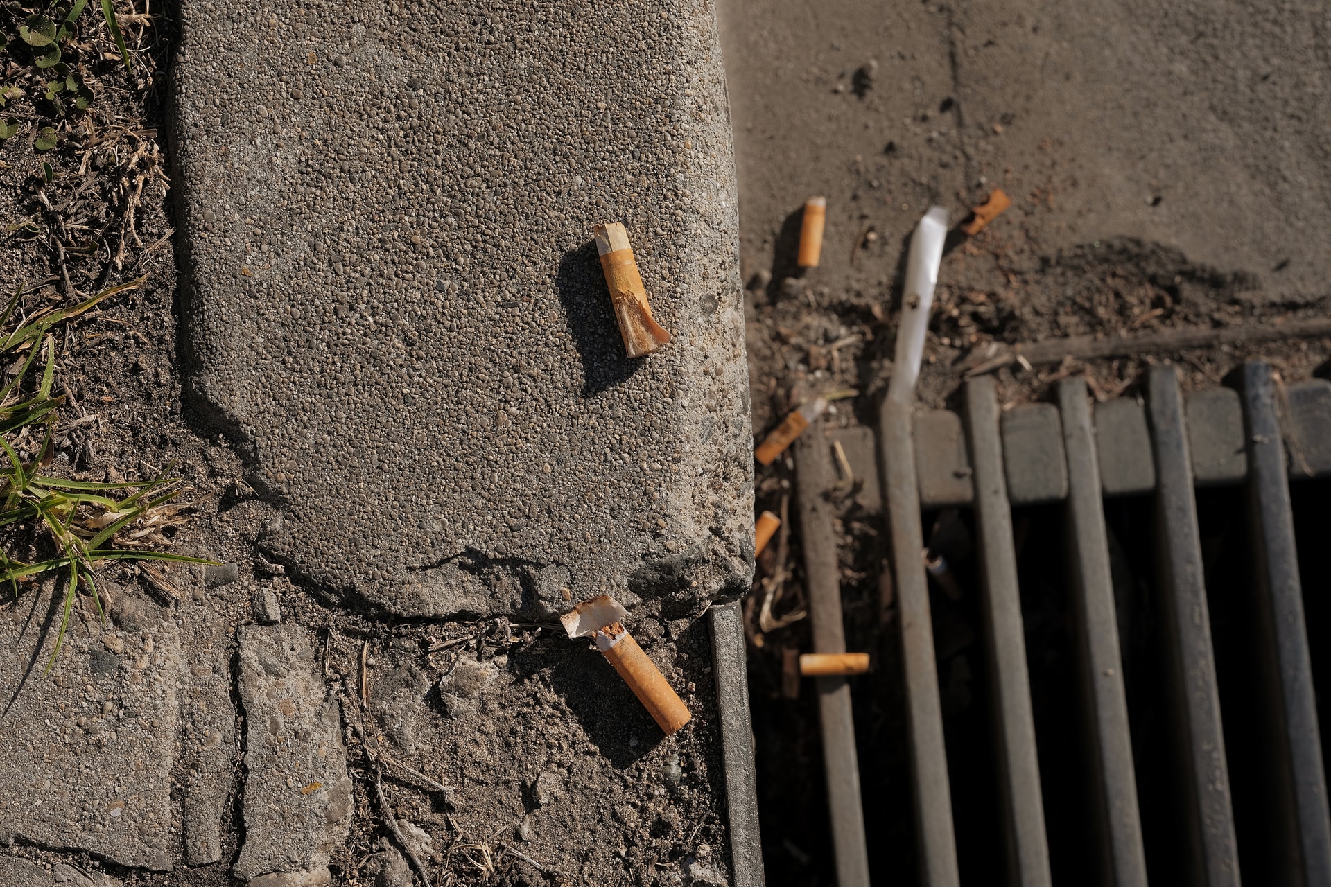 Cigarette butts on a sidewalk