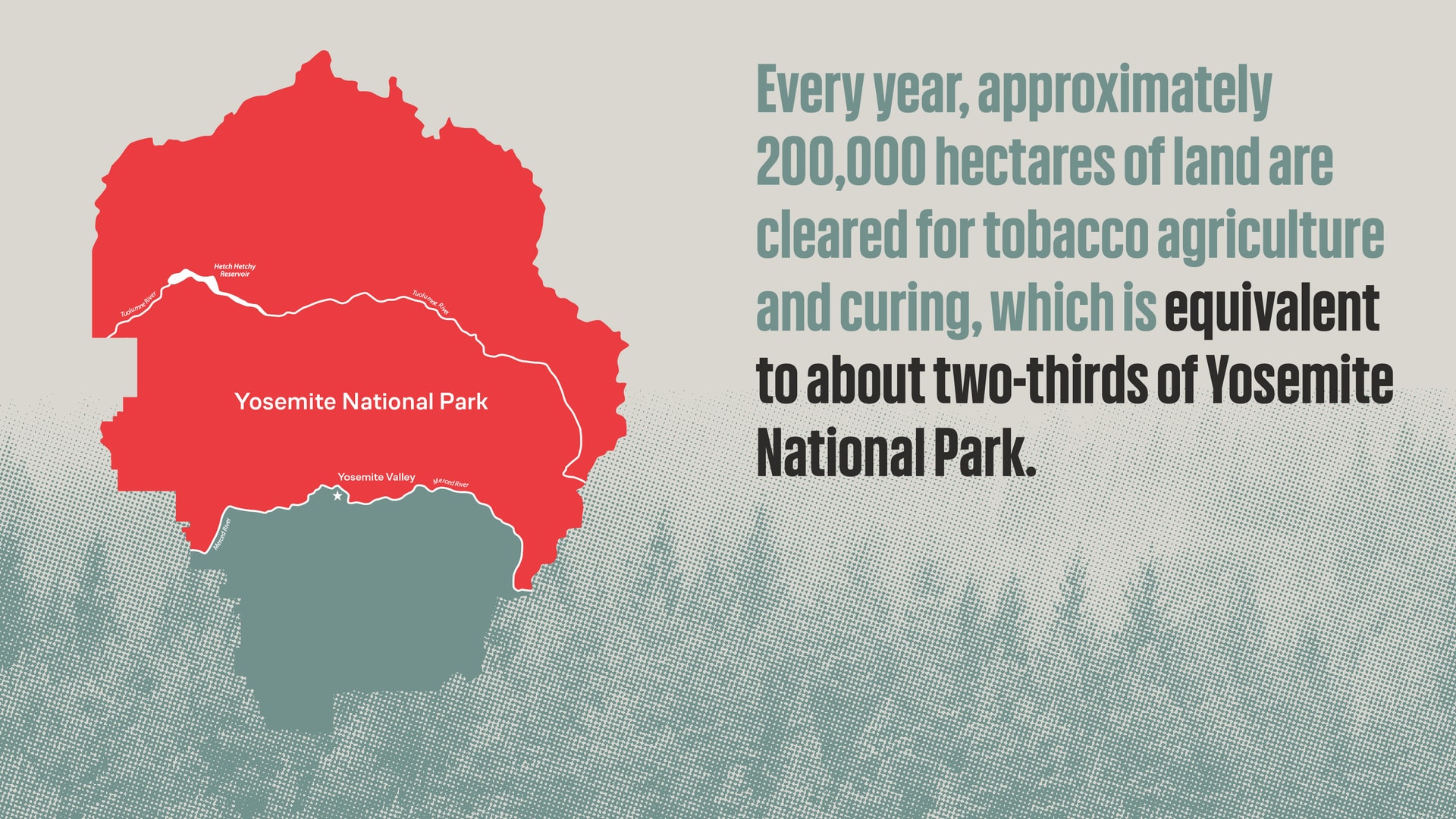 An infographic showing the outlines of Yosemite National Park, with two-thirds of the park colored red. The caption reads: Every year, approximately 200,000 hectares of land are cleared for tobacco agriculture and curing, which is equivalent to about two-thirds of Yosemite National Park.