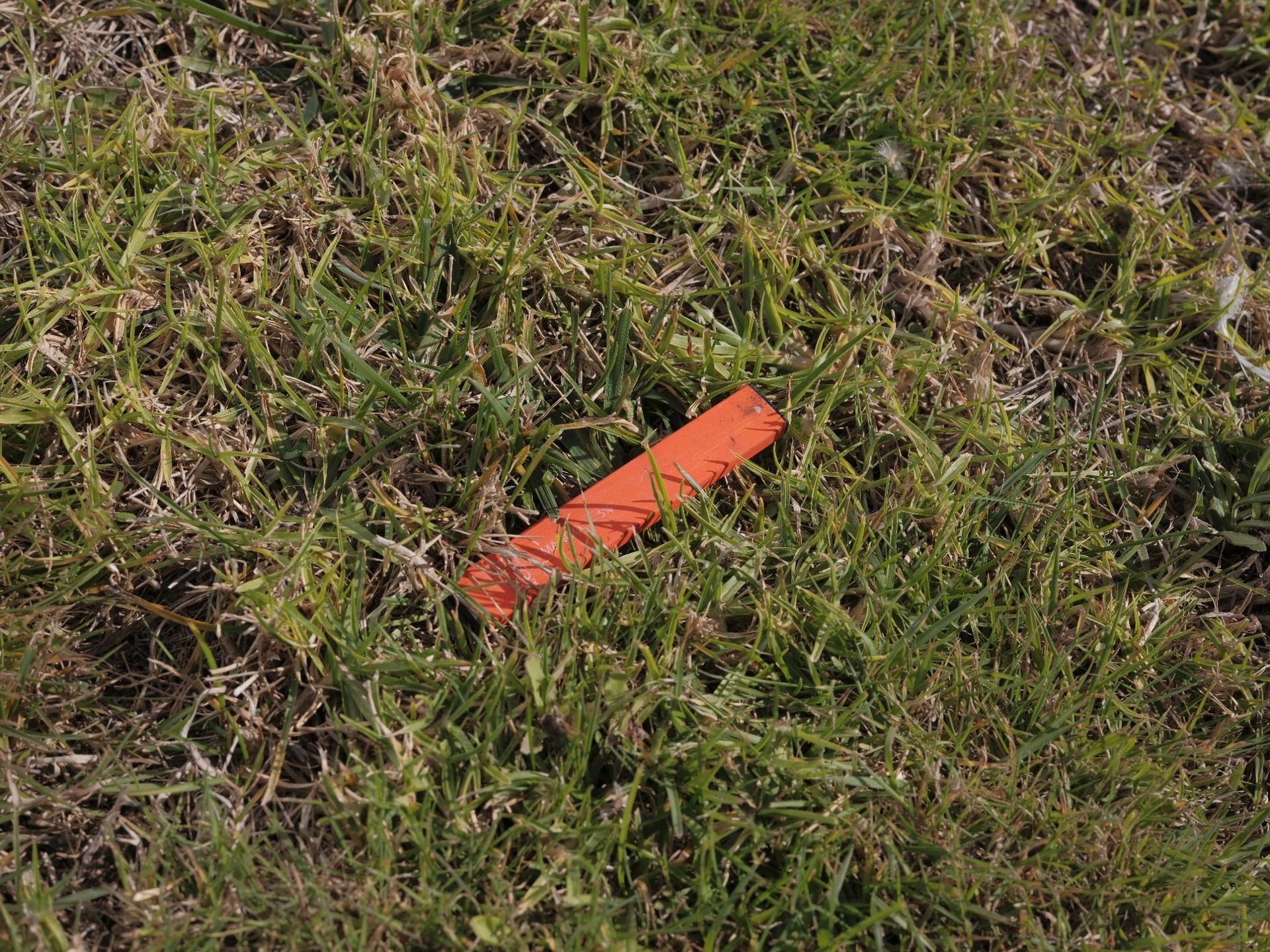 A discarded vape leaks toxic chemicals into a patch of grass