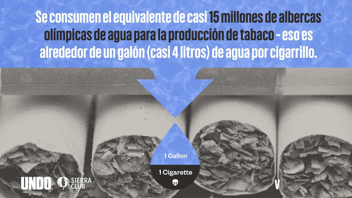 Infografía del agua para la producción del tabaco