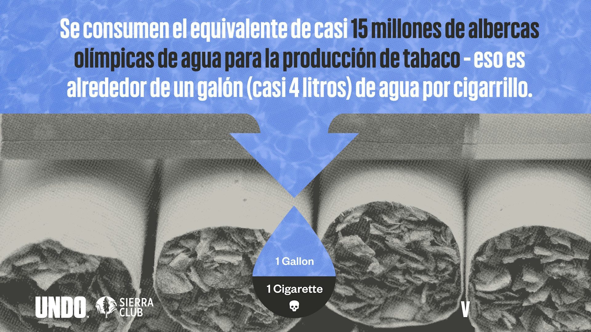 Infografía del agua para la producción del tabaco